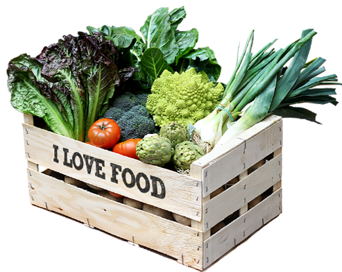 Entrega a domicilio en Barcelona de verduras bio / orgánicas